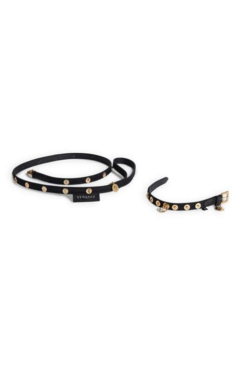 versace pet dames|Pet Accessories Collection .